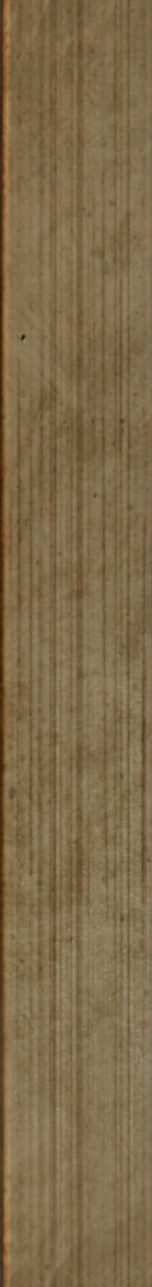 Profil de ramă AV203 Natur